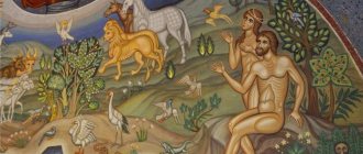 Адам Ева и Животные
