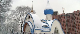 Church of John of Kronstadt in St. Petersburg on Leninsky