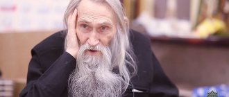 Schema-Archimandrite Iliy (Nozdrin). Photo: Pravoslavie.Ru 
