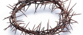 crown of thorns of jesus christ